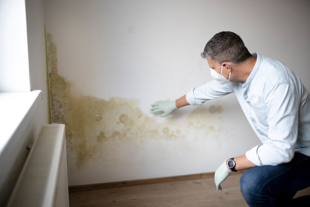 Traitements de l’humidité dans votre maison: solutions efficaces et adaptées à chaque situation.